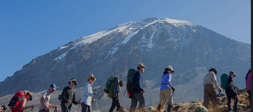 Mount Kilimanjaro Ascent Suite